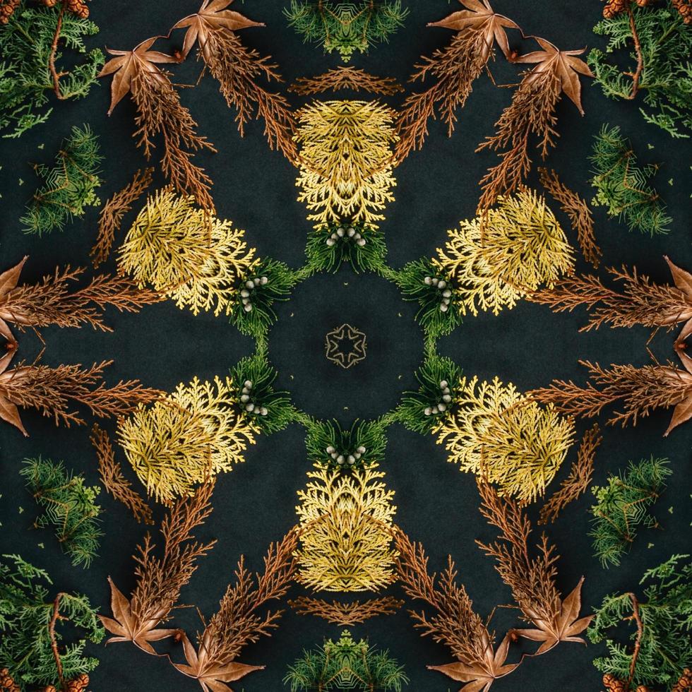 Dark green abstract rectangular background. Spruce kaleidoscope pattern. Free background. photo