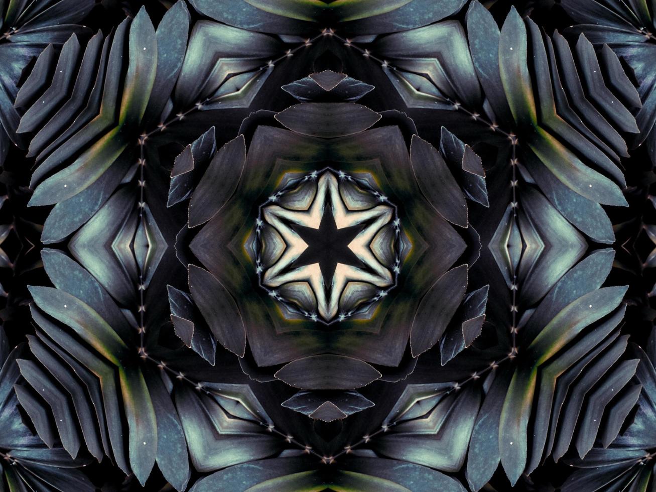 Black and white kaleidoscope pattern. Abstract background. Free photo. photo