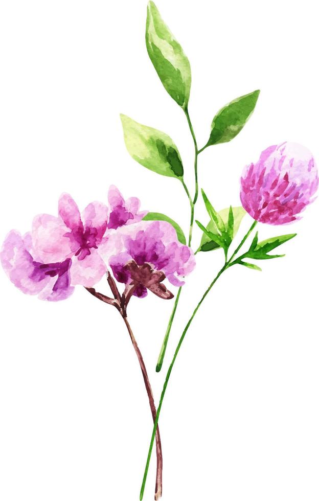 ramo de acuarela de flores de primavera. decoración aislada sobre fondo blanco, ramo de composición salvaje. vector