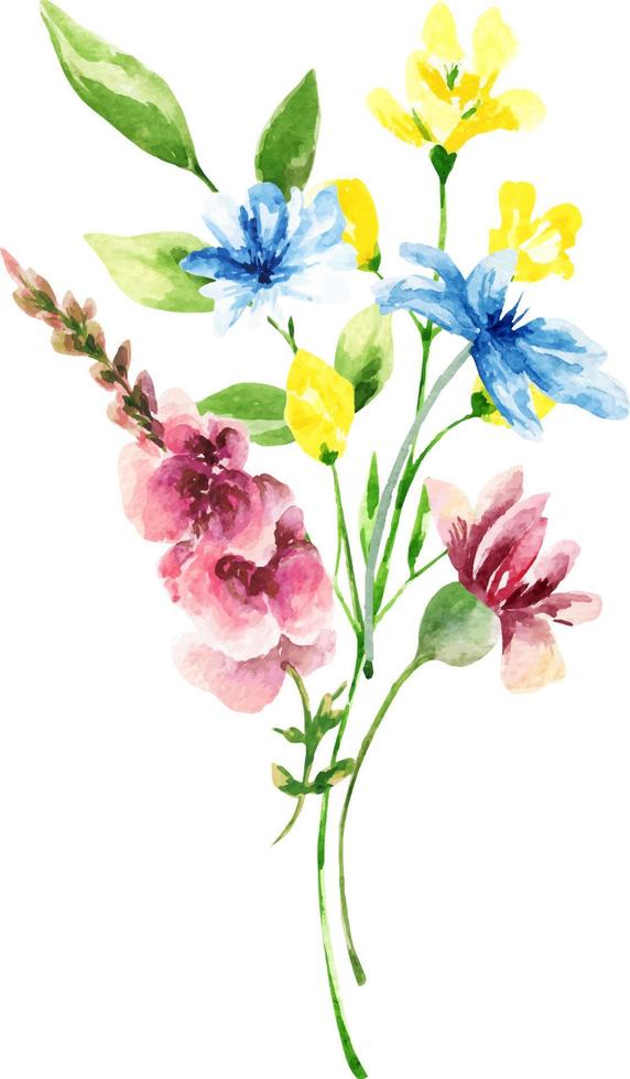 Watercolor bouquet of spring flowers.Decoration isolated on white background, bouquet of wild composition. vector