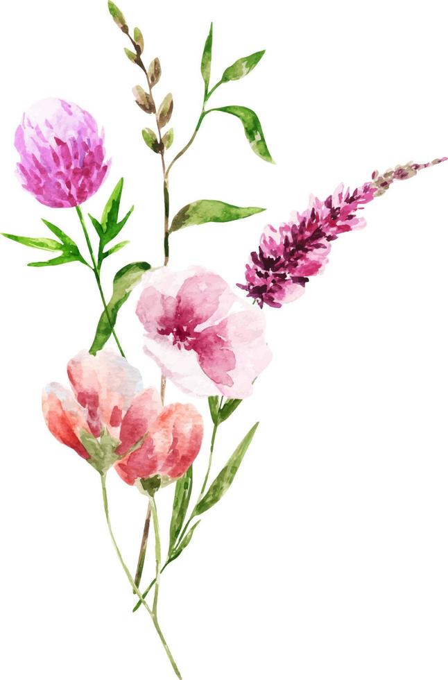 Watercolor bouquet of spring flowers.Decoration isolated on white background, bouquet of wild composition. vector