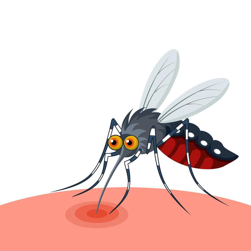 Vector illustration of a mosquito sucking blood, isolated on white background, as a banner, poster or template, world malaria day or world dengue fever day.