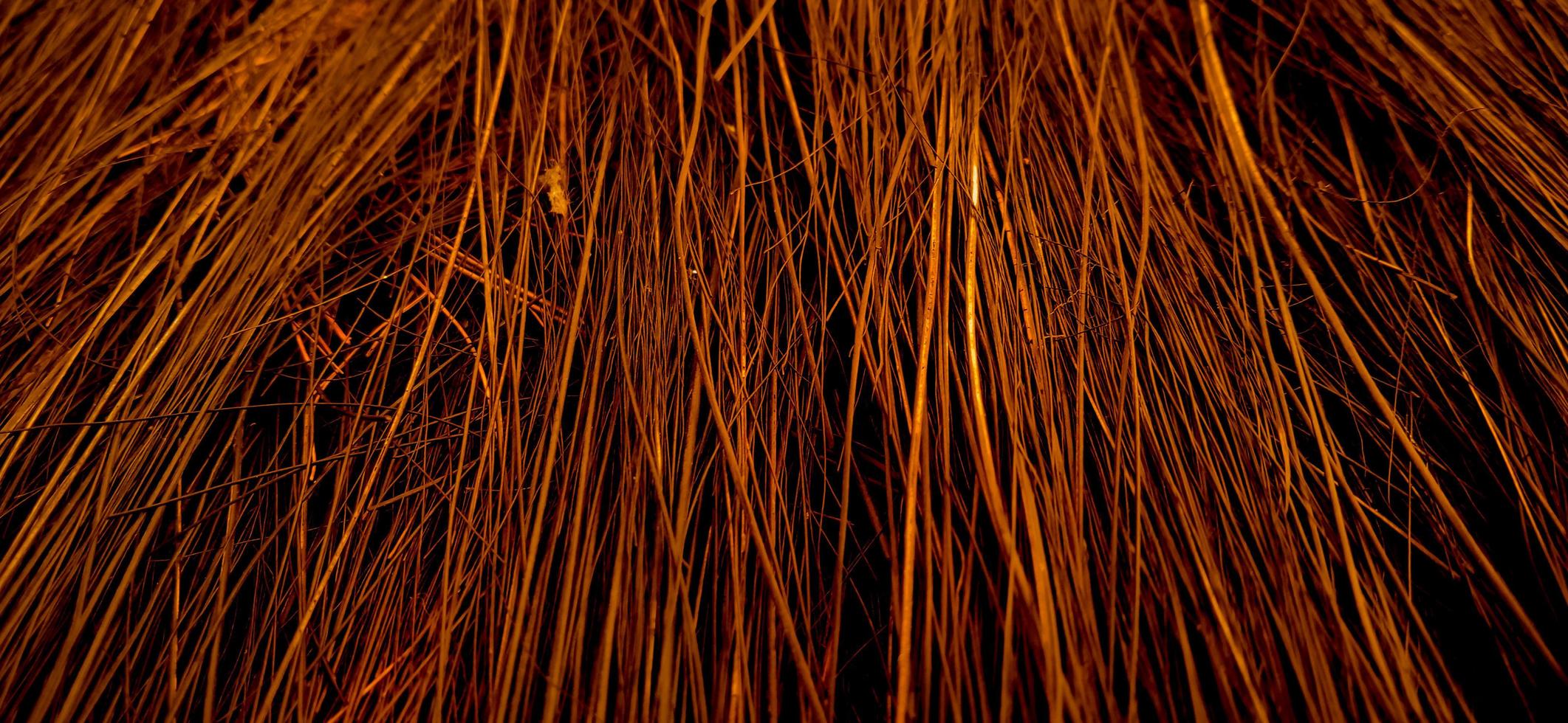 Red orange colors of sharp needle-like structure of coconut fiber with dark background photo