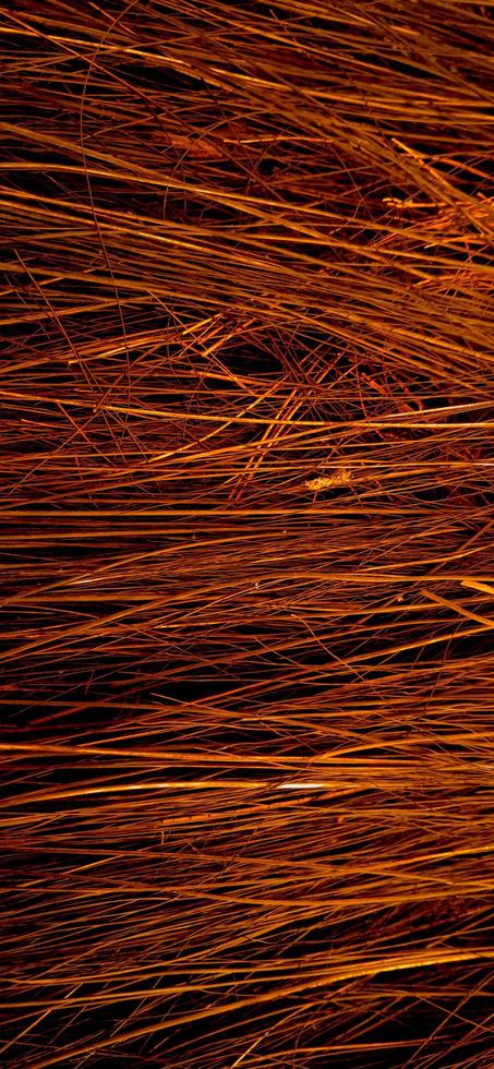 Red orange colors of sharp needle-like structure of coconut fiber with dark background photo