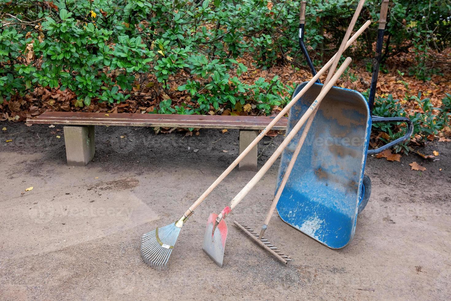 Rakes and wheelbarrow in the park photo