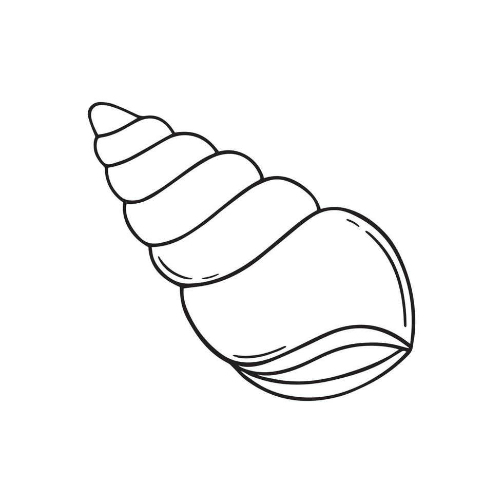 Hand drawn sea shell in doodle sketch style. Vector illustration isolated on white background.