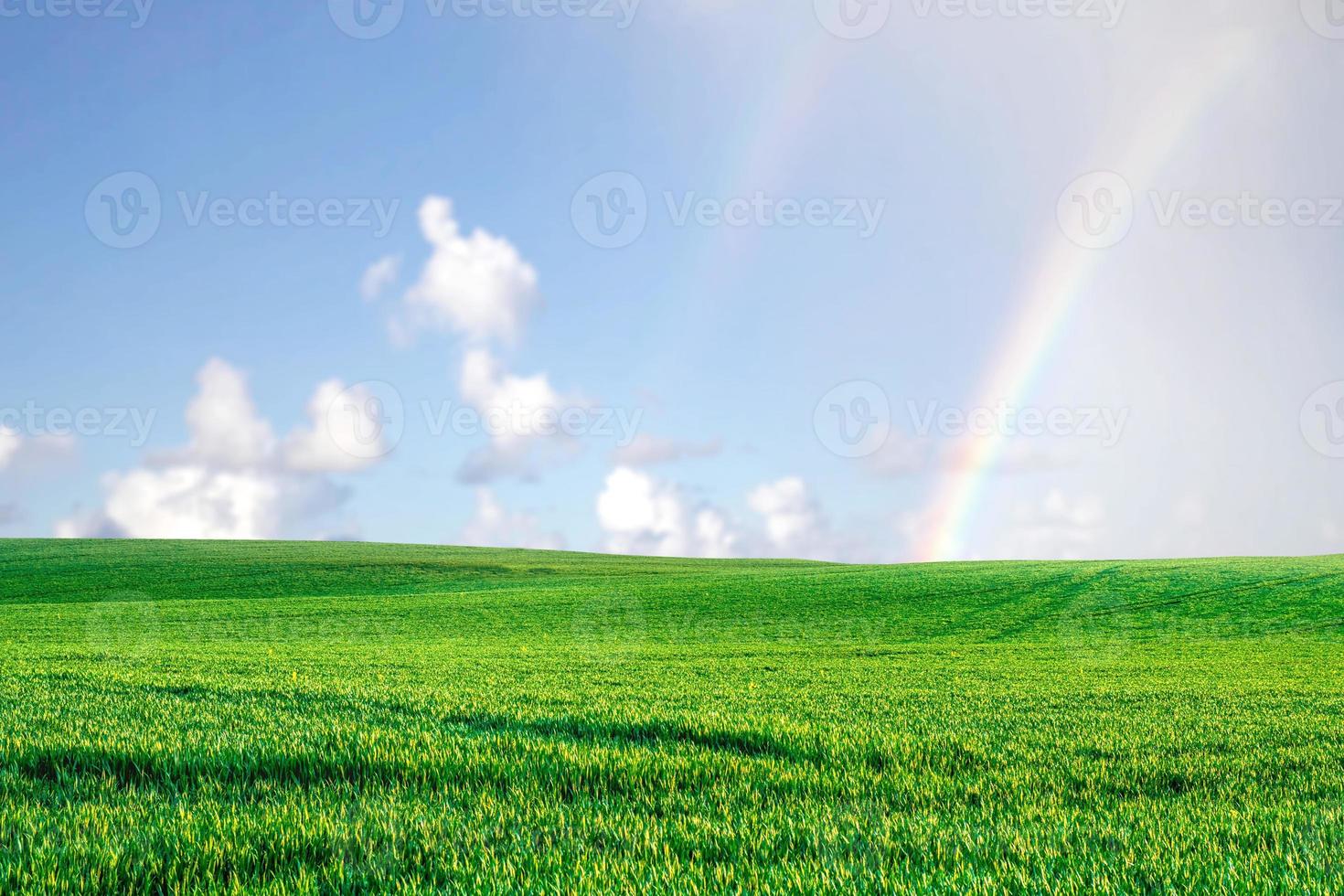 un gran prado en el fondo es el cielo. concepto de imagen de fondo de la naturaleza foto