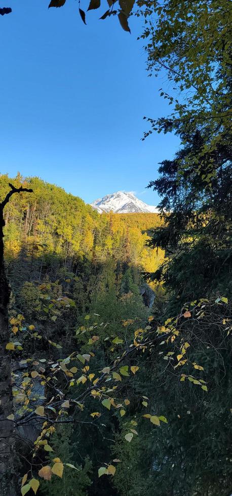 Anchorage Alaska Wilderness photo