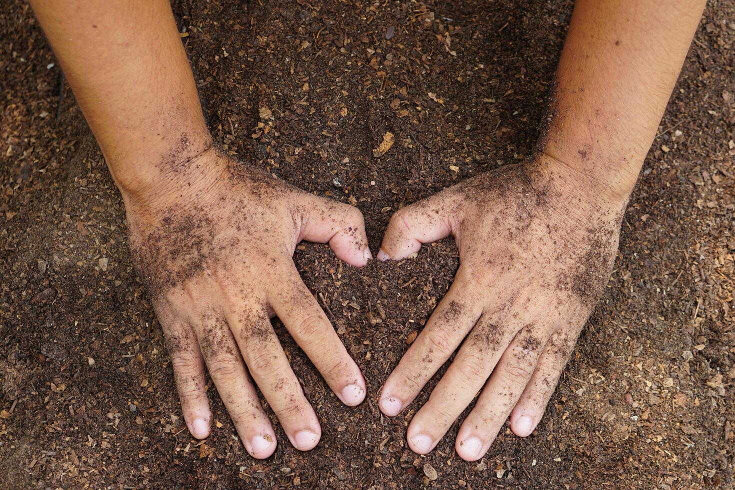 los agricultores mezclan el suelo para cultivar. proporcionar los minerales que las plantas necesitan está creciendo rápido y fuerte. foto