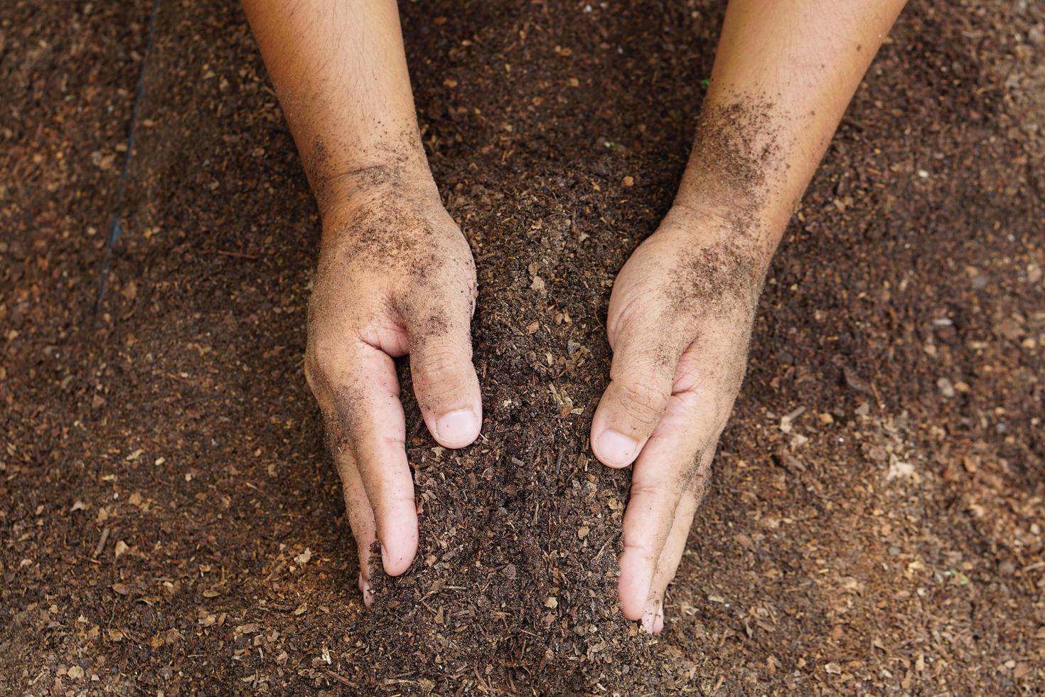 los agricultores mezclan el suelo para cultivar. proporcionar los minerales que las plantas necesitan está creciendo rápido y fuerte. foto