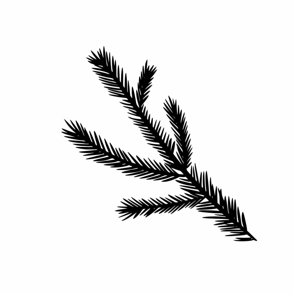 The branch of the Christmas tree is hand-drawn. Doodles vector