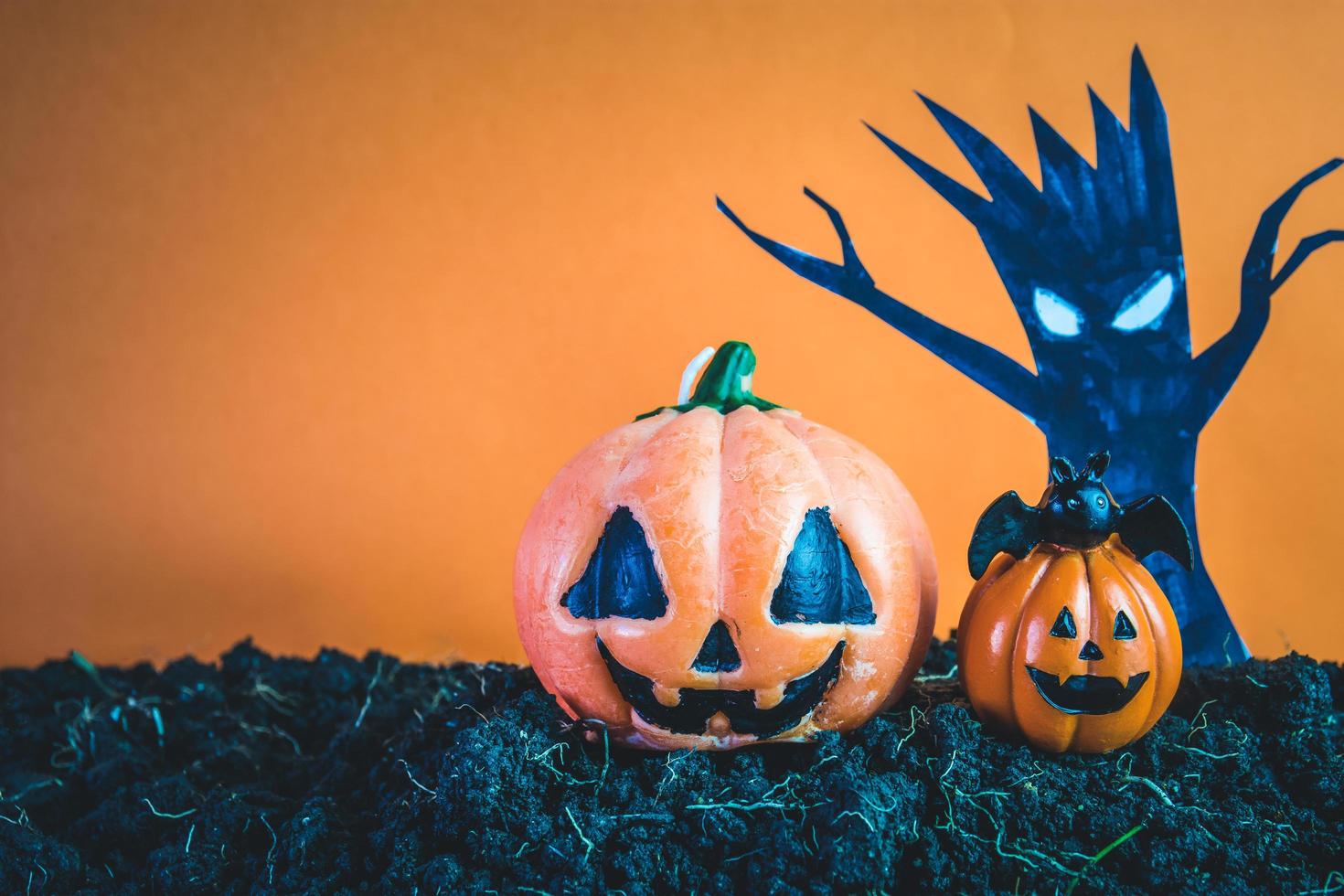 Halloween Pumpkins on soil photo