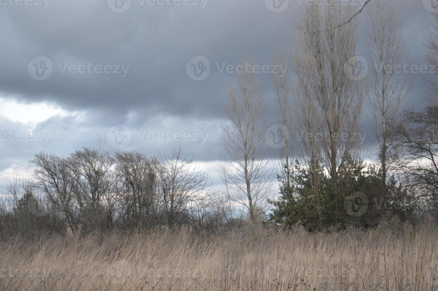 Thunderclouds in the evening on the sky in the village photo