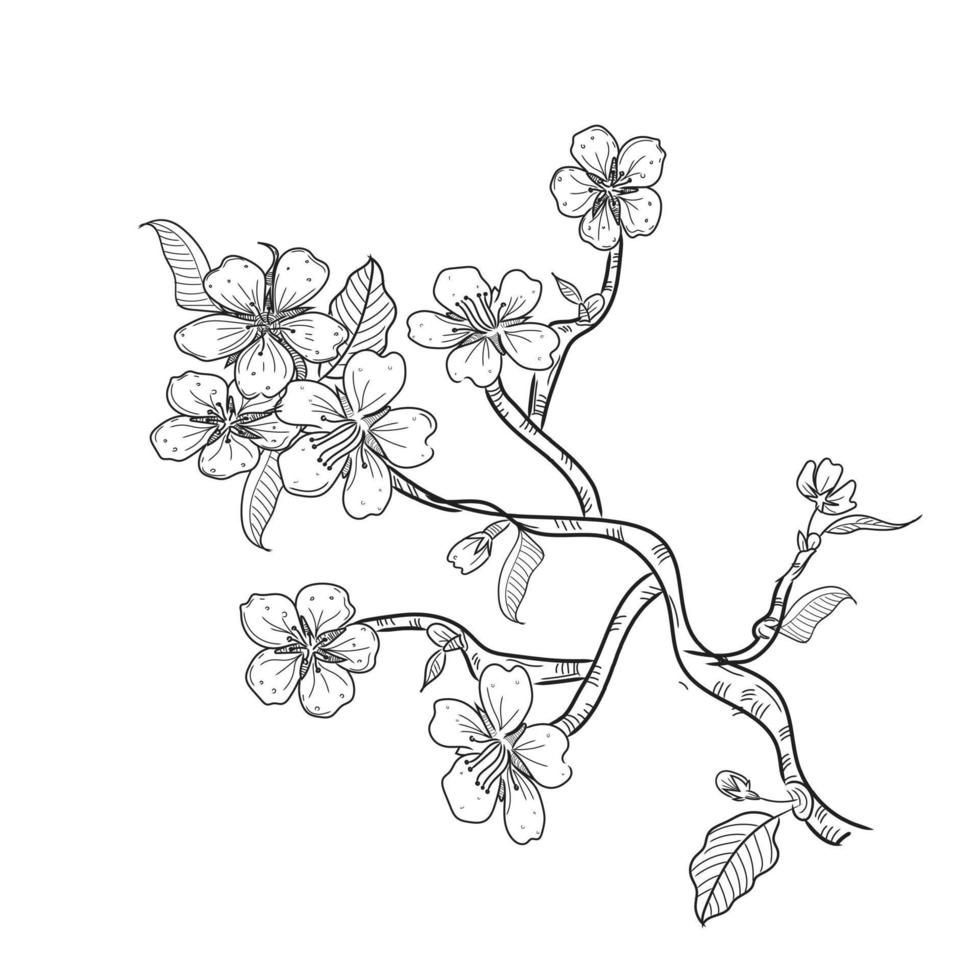 vector de arte de línea de flor de cerezo