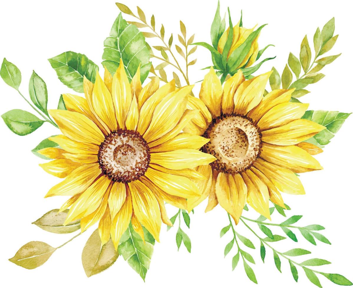 Ilustración de vector de ramo de girasol acuarela