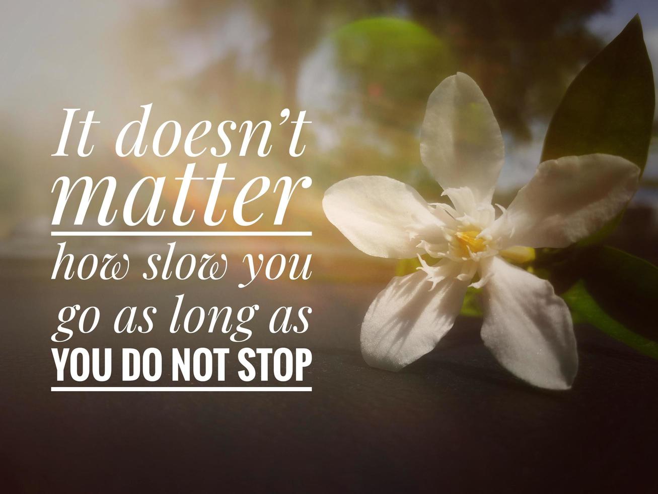 Sun rays on white flowers in a field with a motivational and inspirational quote photo