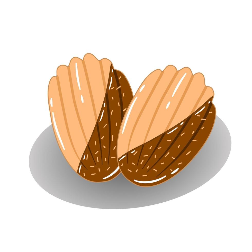 Sweet dessert vector for madeleine with chocolate topping