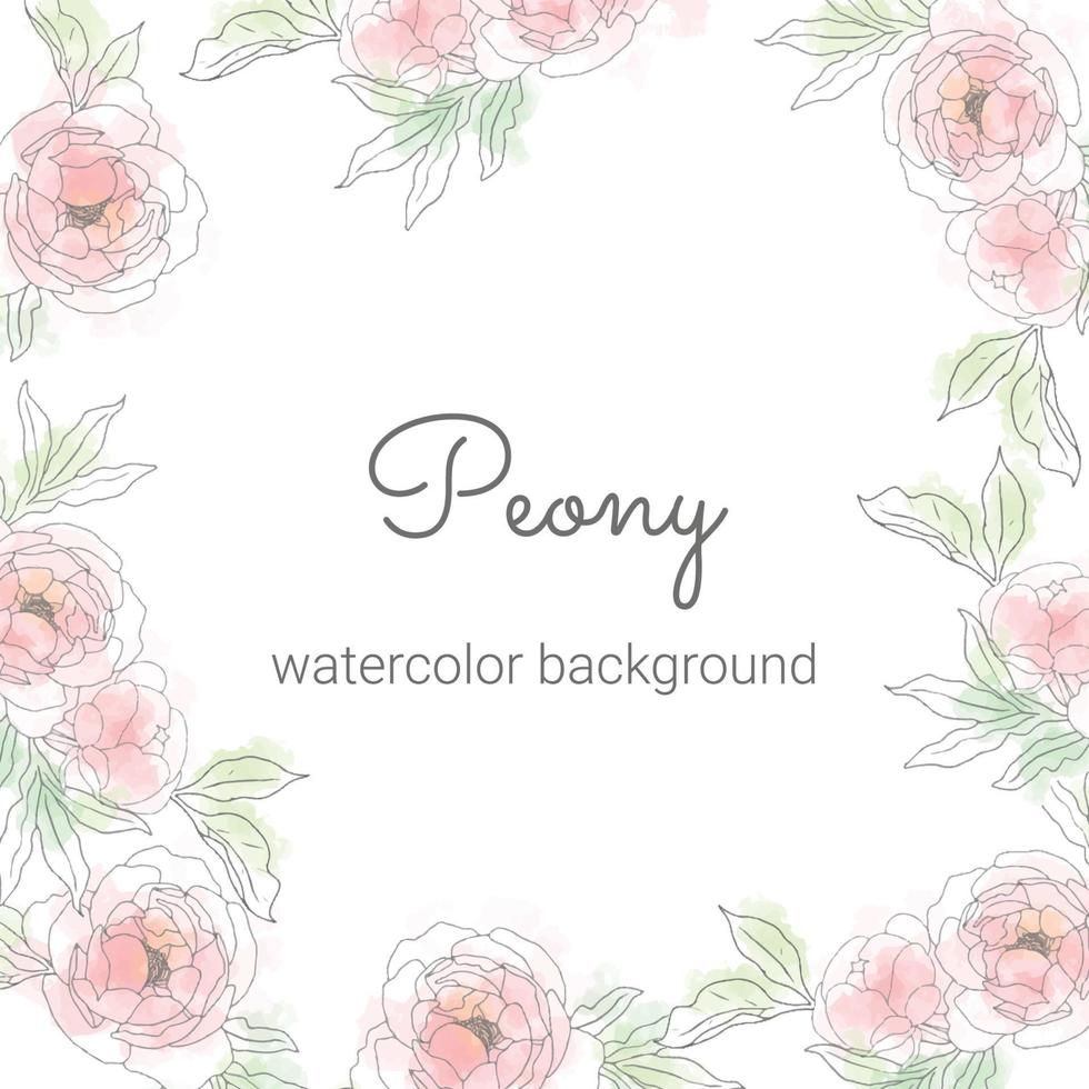 peony flower bouquet frame minimal banner background vector