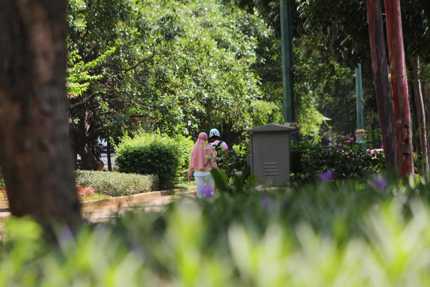 The family is walking in the city park photo