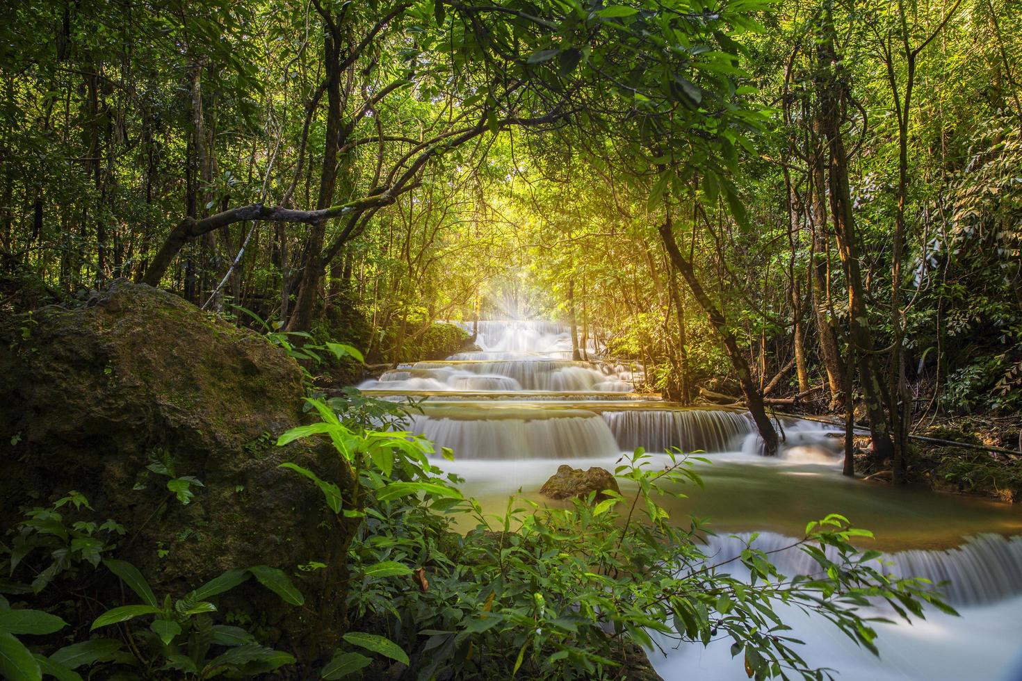 hermoso paisaje natural de cascada de colorido bosque profundo en el día de verano 11976155 Foto de stock en Vecteezy