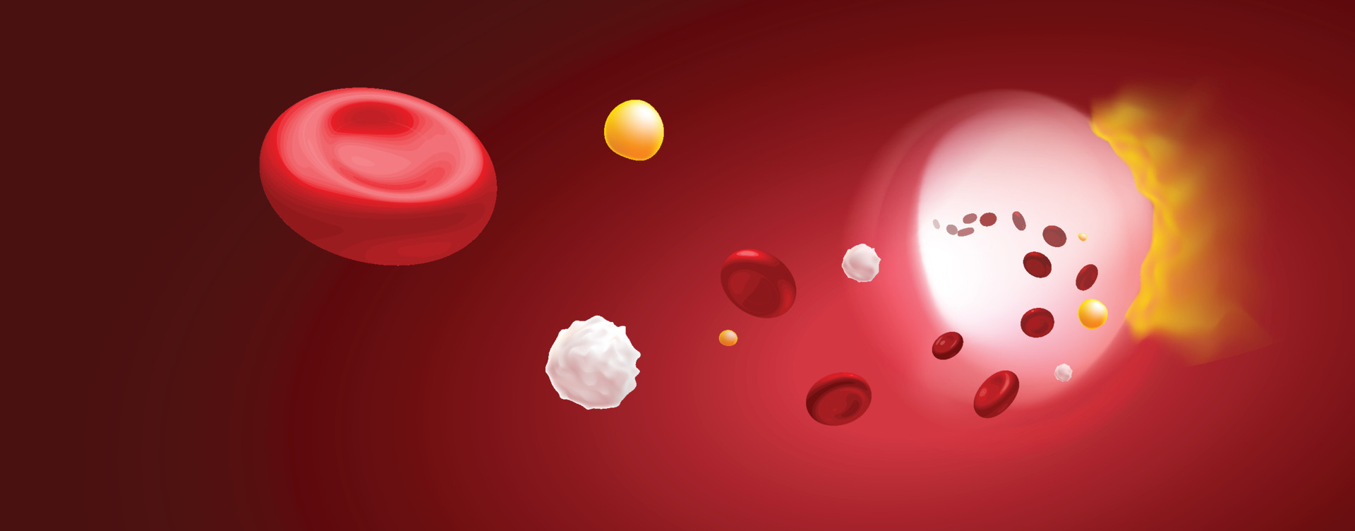 3D Illustration of red blood cells, white blood cells and cholesterol