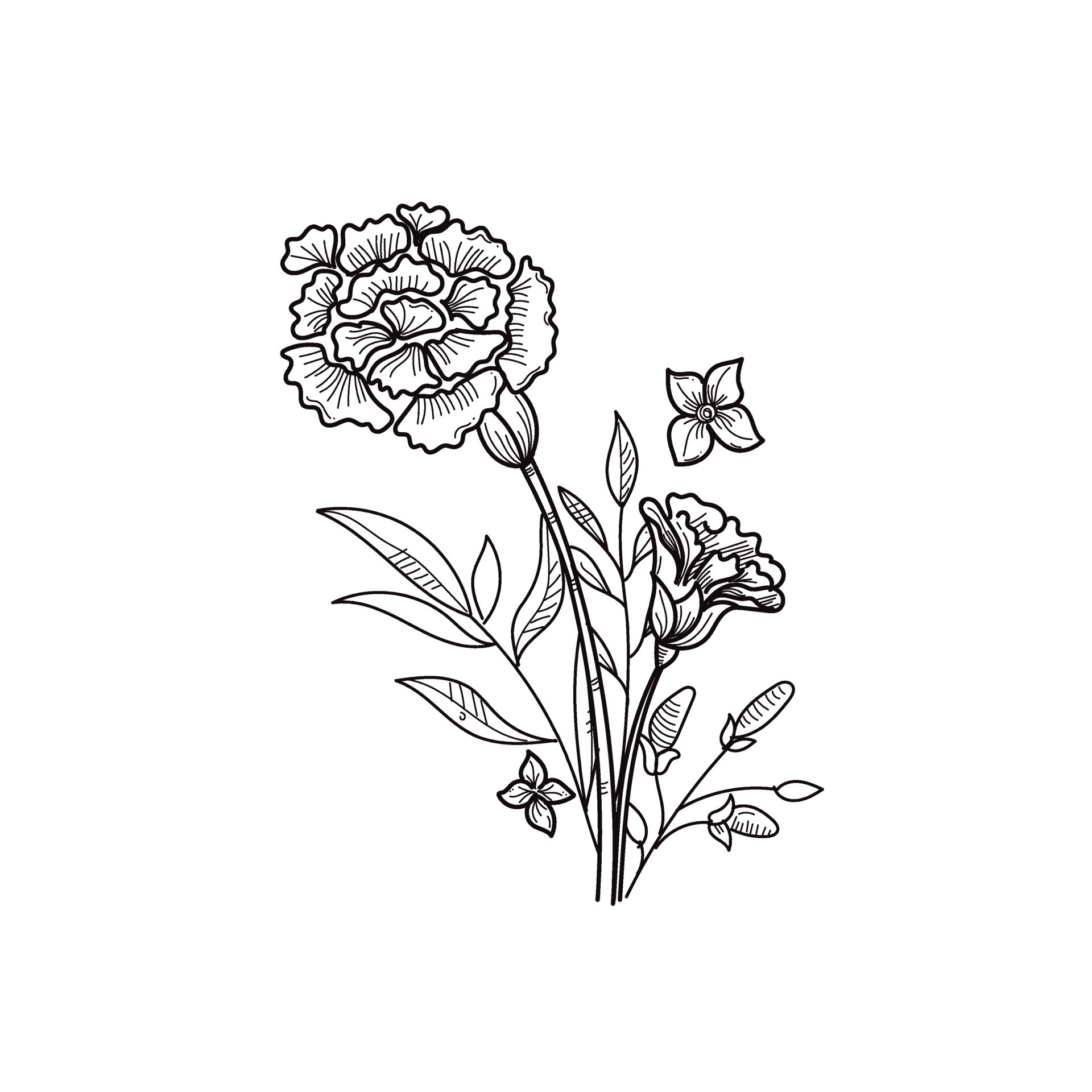 line art flower for aesthetic design 11976263 Vector Art at Vecteezy