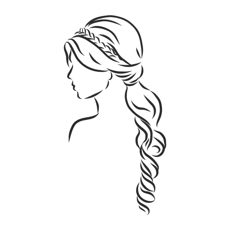 women's hairstyle vector sketch