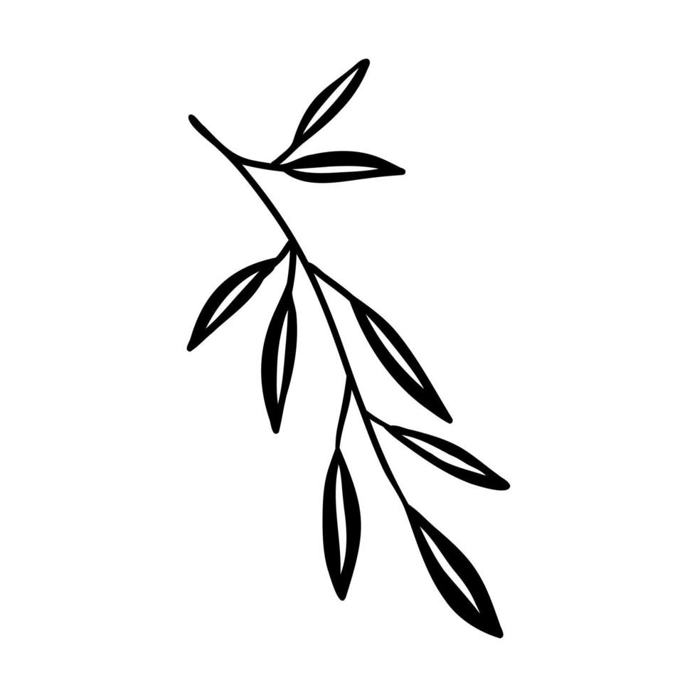 decorative branch vector sketch