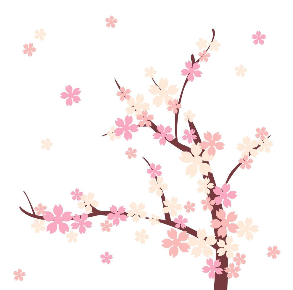 vector cherry blossom pink flower