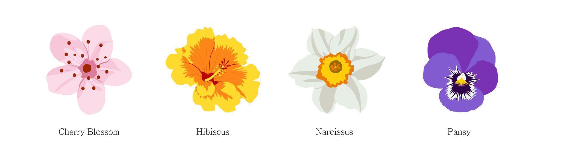 conjunto de flores diferentes sobre fondo blanco. vector