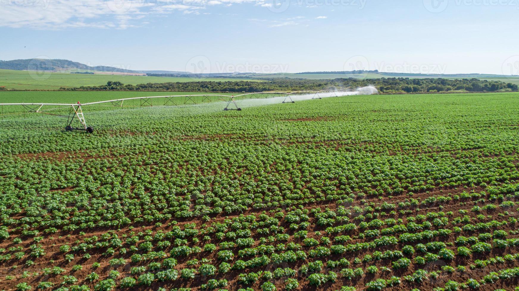 Agricultural irrigation system on sunny summer day. An aerial view of a center pivot sprinkler system. photo