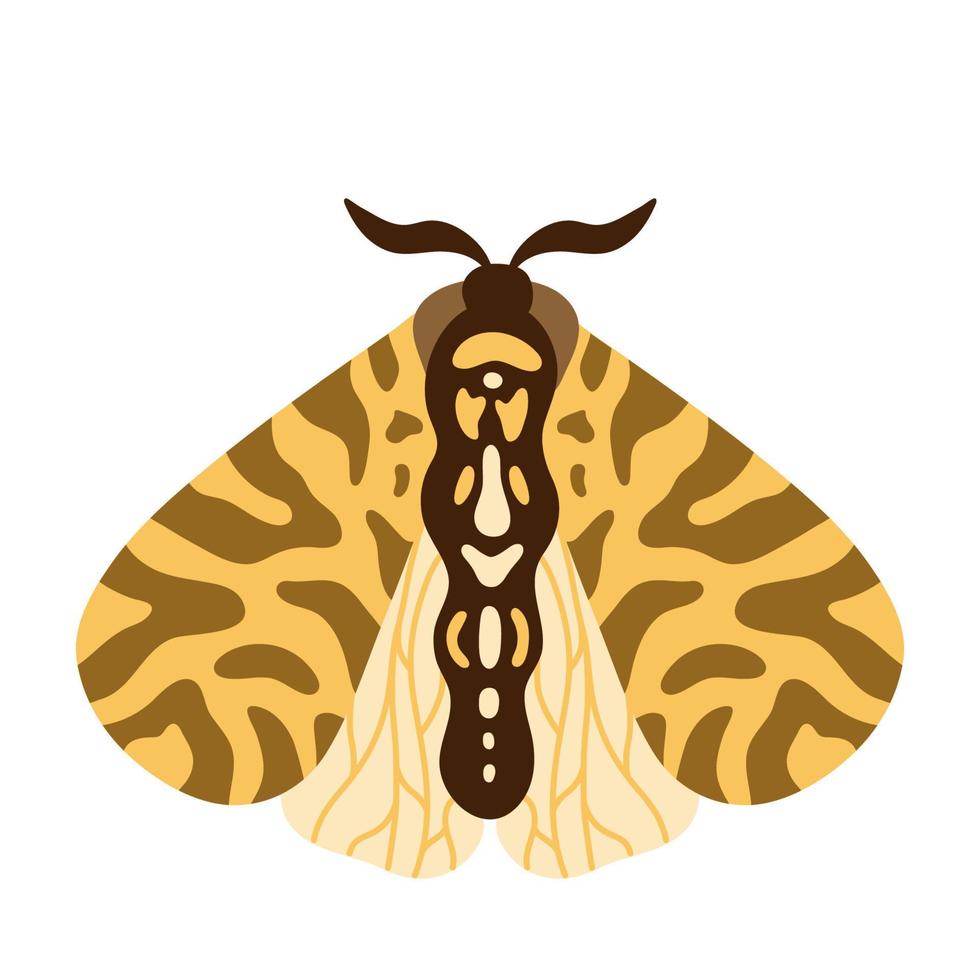 mariposa exótica, polilla. ilustración aislada dibujada a mano vectorial de dibujos animados de insectos voladores tropicales. elemento de diseño místico estilizado para impresión, portada, libro, afiche, tarjeta vector