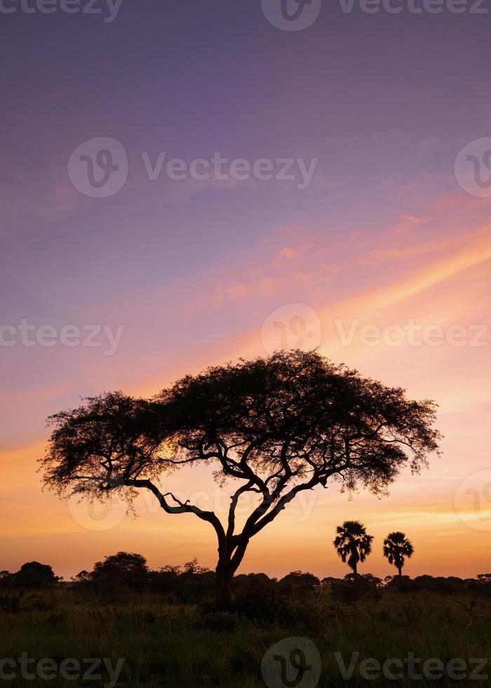 Sunrise at Murchison Falls National Park, Uganda photo