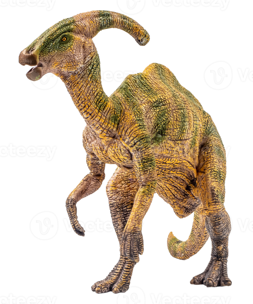 dinosaurio parasaurolophus sobre fondo blanco png