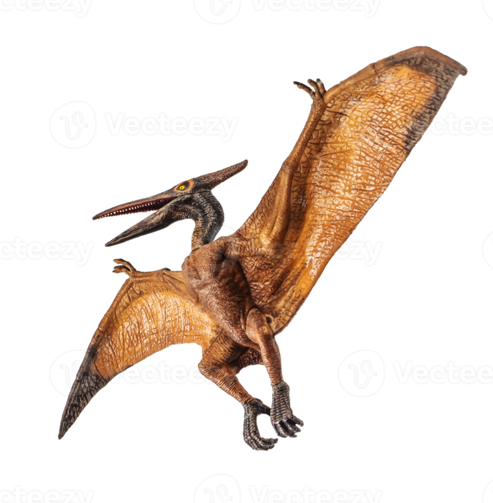 Pterodactyl