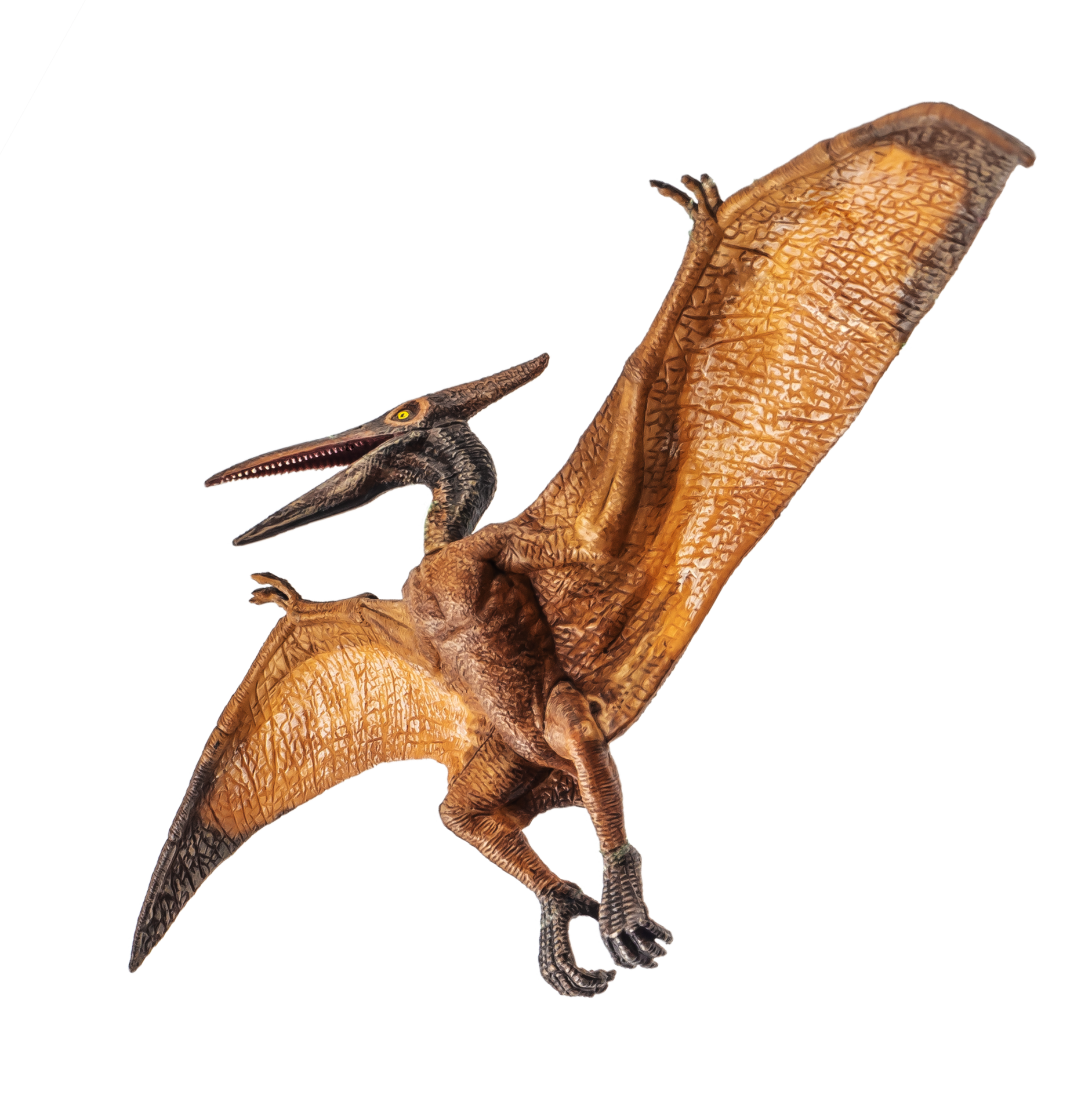 Pteranodon Pterodactyl Dinosaur on white background 11979345 PNG