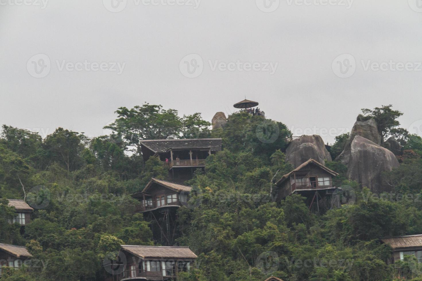 selva china, isla de hainan foto