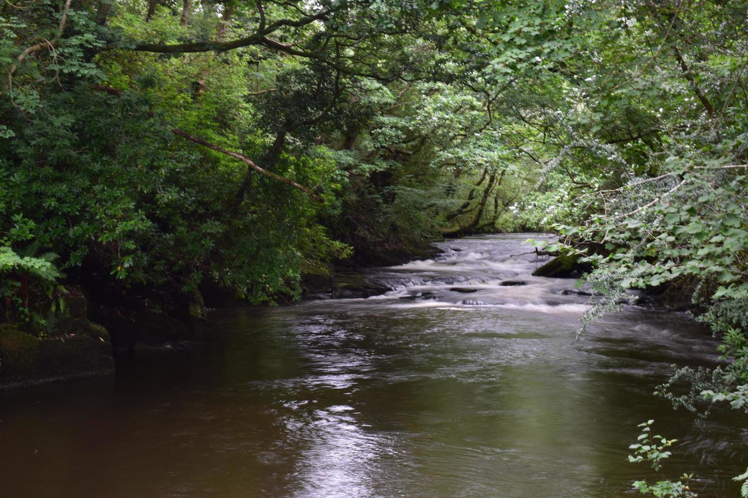 Waterfall and river scene photo