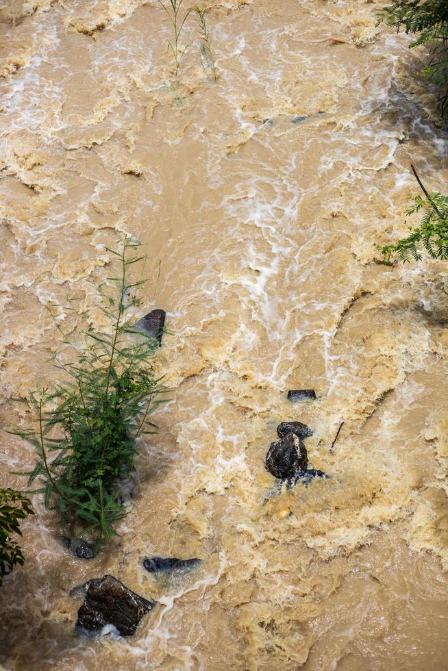 vista superior el agua salvaje fluye violentamente a través de las rocas y los arbustos. foto