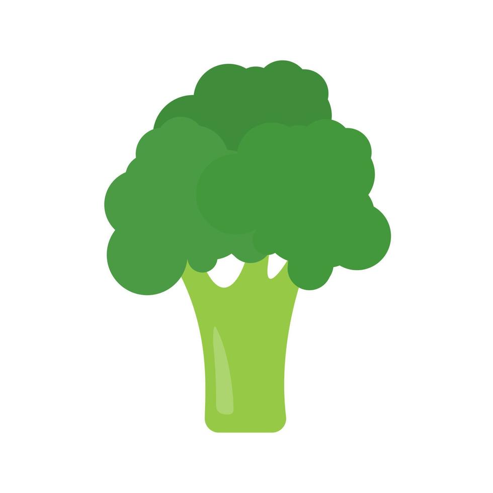 Green broccoli. healthy vegetables for kids vector