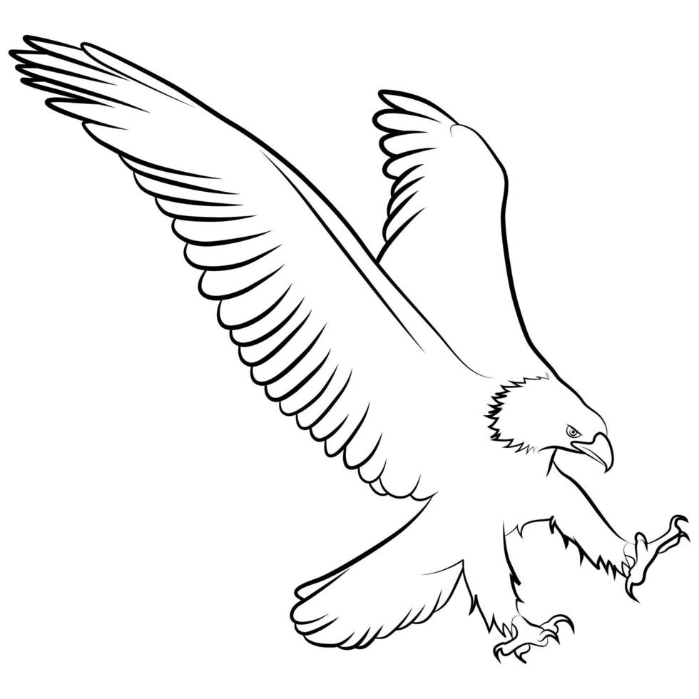 Eagle in Outline Sketch. vector