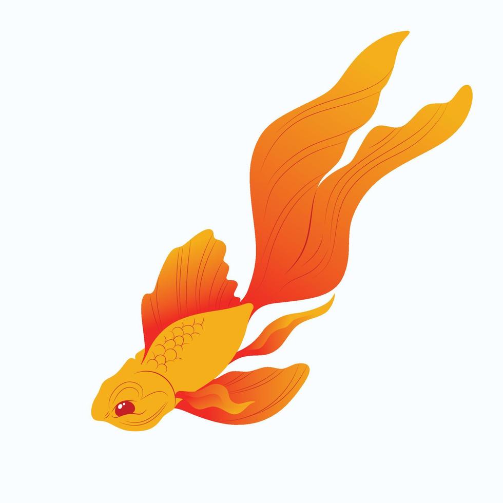 Koi fish illustration vector. koi fish logo design inspiration vector