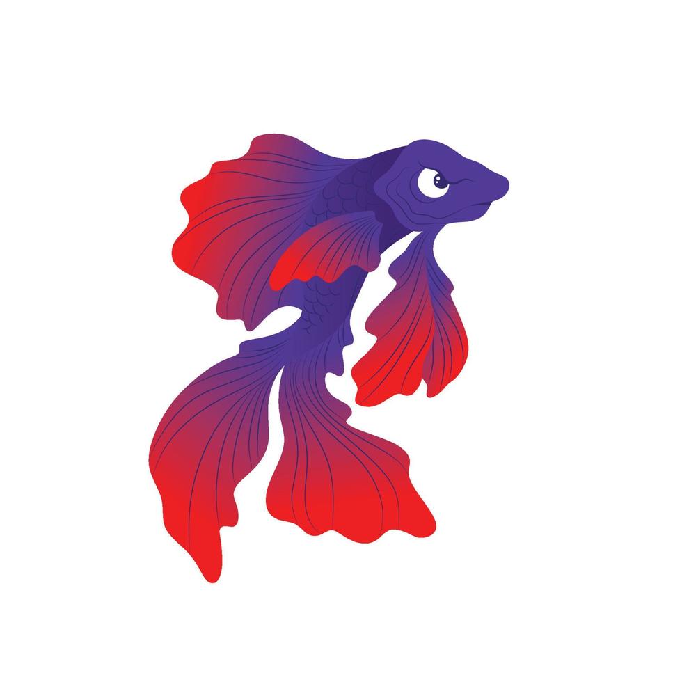 Betta fish Illustration vector. Betta fish logo design inspiration vector