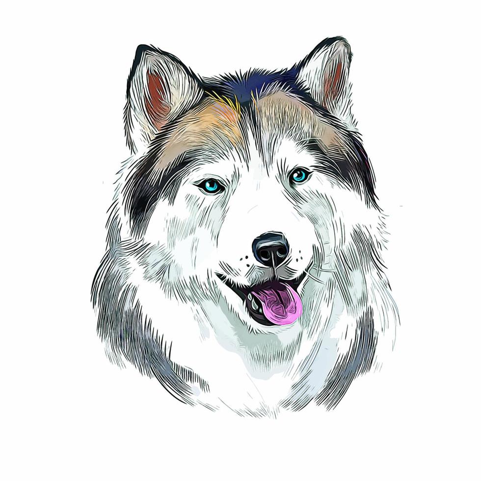 Alaskan Husky Dog Watercolor Hand Drawn Sketch Paint Drawing Illustration vector