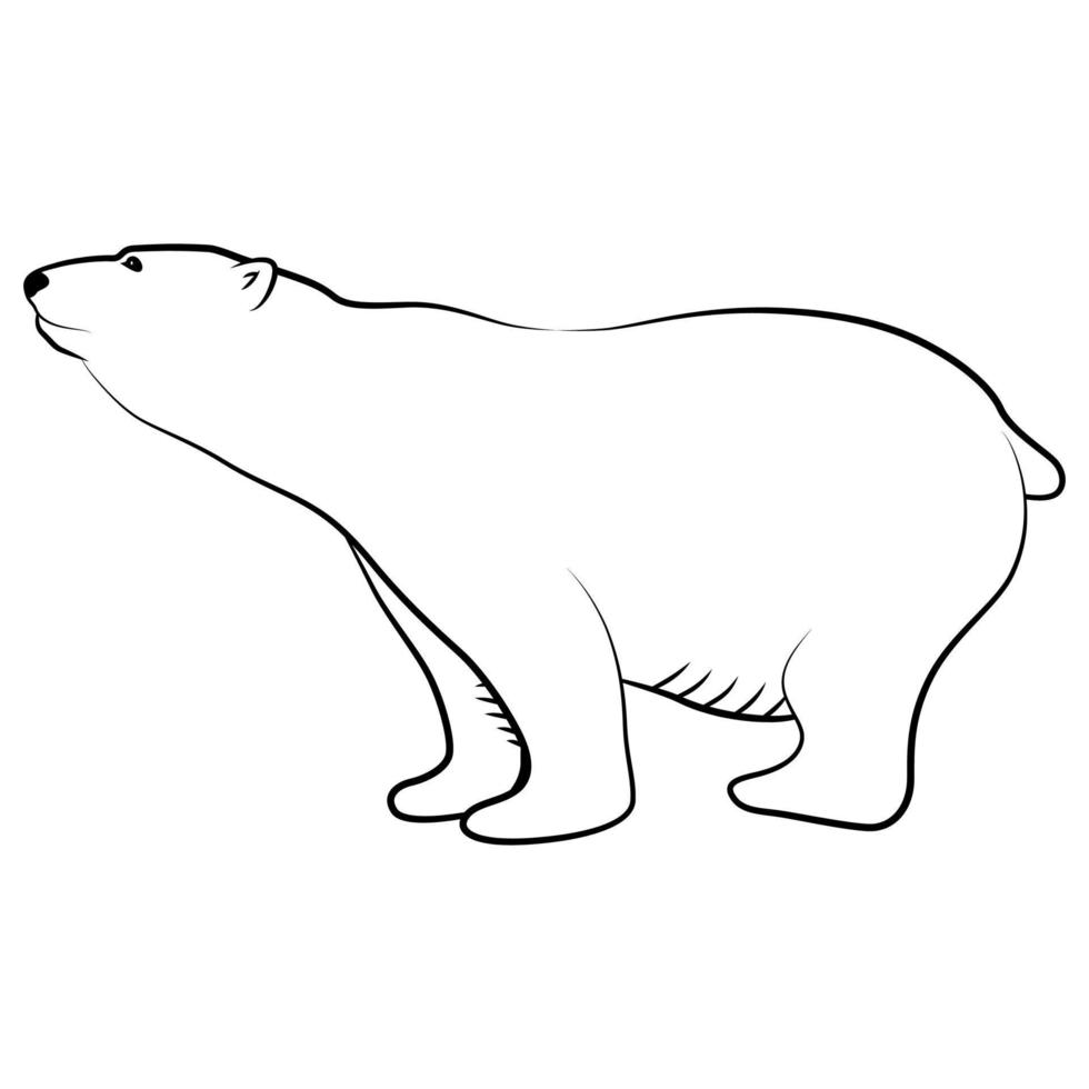 Polar Bear in Outline Sketch. vector