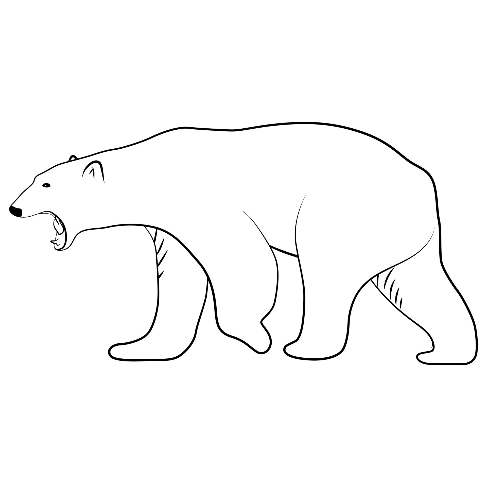 polar-bear-in-outline-sketch-11981255-vector-art-at-vecteezy