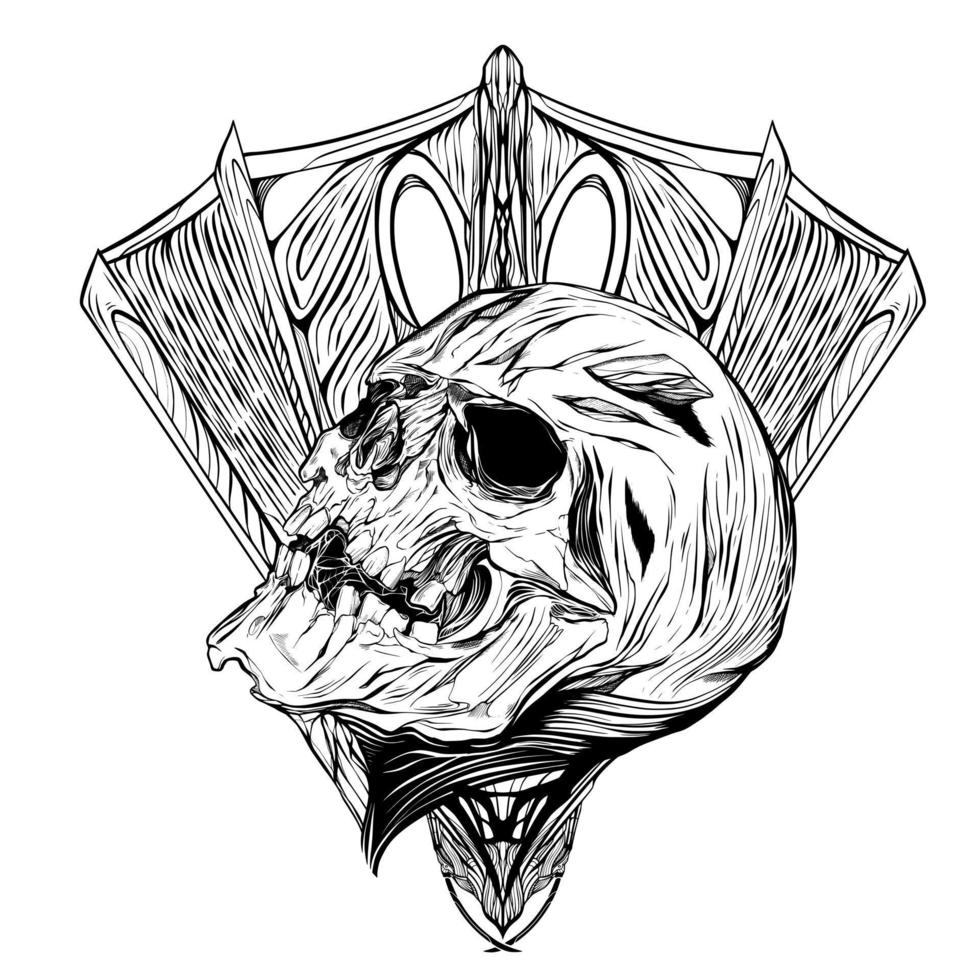 cráneo ilustración digital dibujo ilustraciones vector