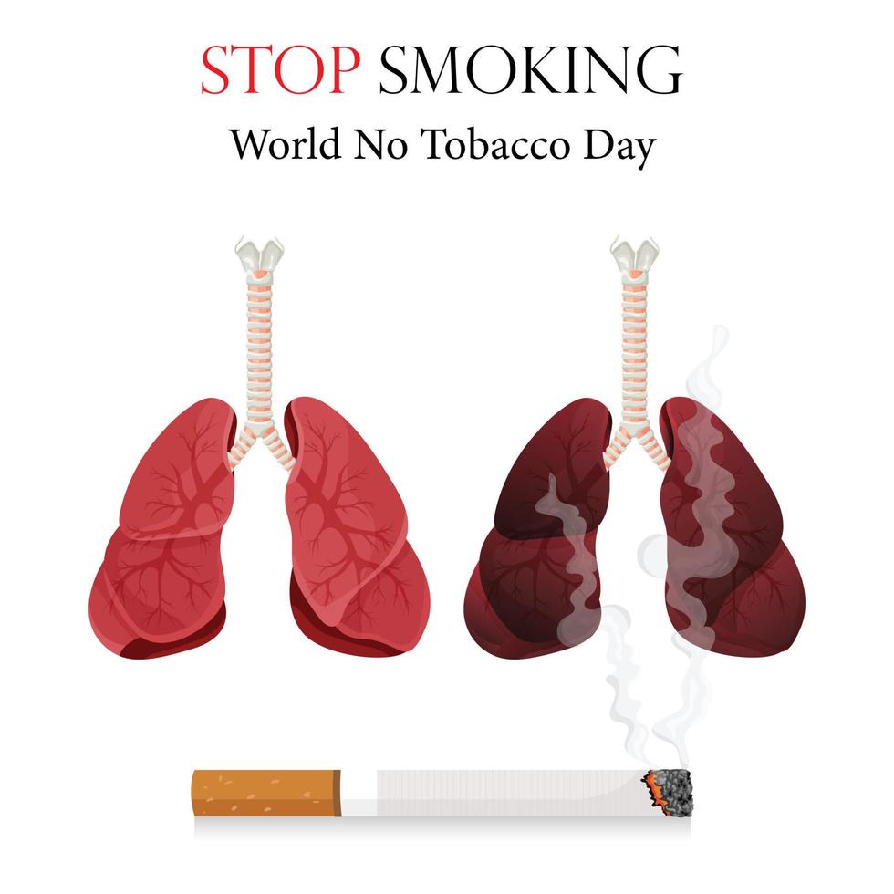 Poster, flyer or banner for World No Tobacco Day and an image of human lungs. Vector illustration, stop tobacco