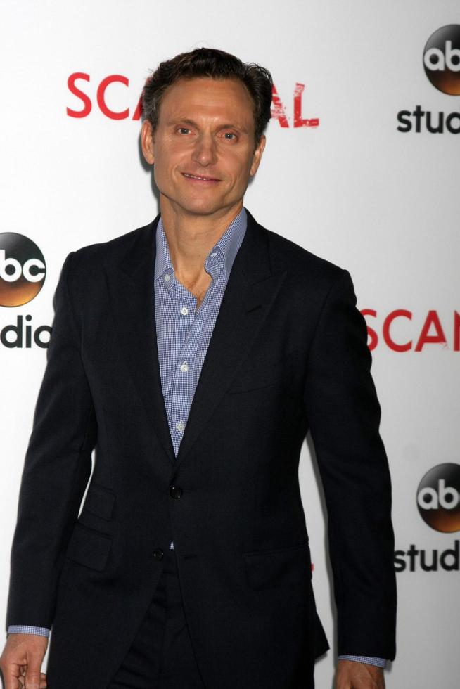 LOS ANGELES, MAY 1 - Tony Goldwyn at the Scandal For Your Consideration ATAS Event at the Directors Guild of America on May 1, 2015 in Los Angeles, CA photo