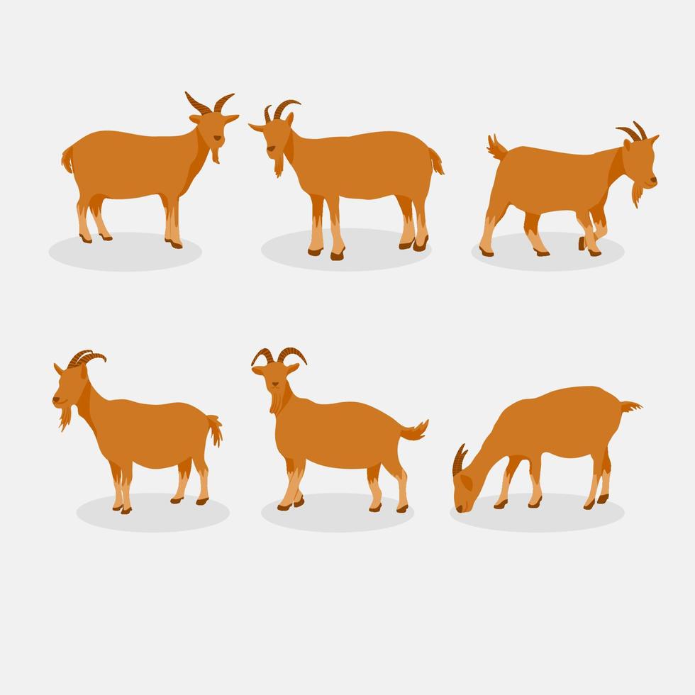 Goat Animal Qurban Faceless Illustration vector